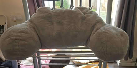 Photo of free Sofa pillow (SE6) #1