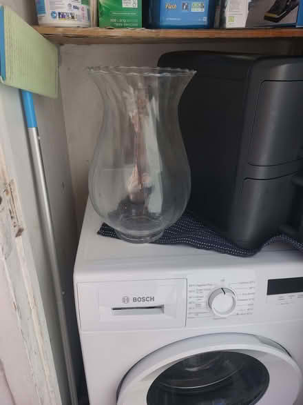 Photo of free Glass vase (Carpenders Park WD19) #2