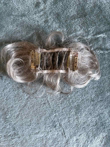 Photo of free Grey hair volume piece (Chestnut Point East Condos) #2
