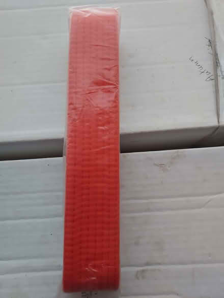 Photo of free martial arts orange belt (little ferry) #3