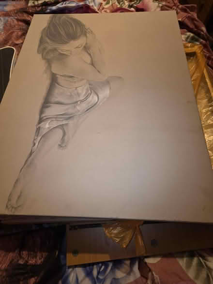 Photo of free 2 canvas pictures (Harold wood RM3) #1