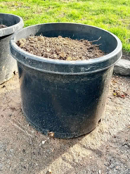Photo of free 26 Large Pots of Yard Fill (Smithtown) #2