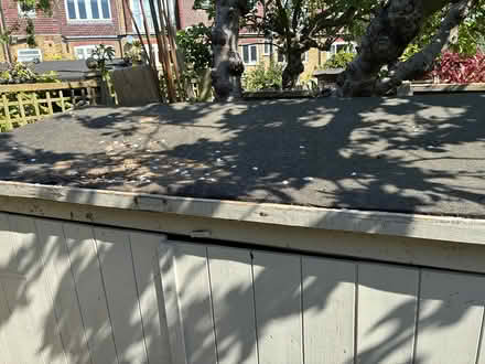 Photo of free Bike shed (East Sheen SW14) #3