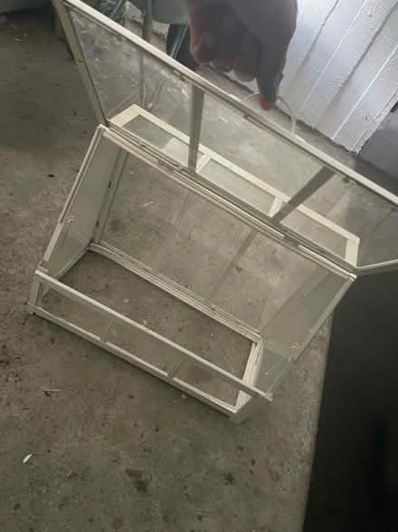 Photo of free Small glass greenhouse (Roehampton. SW15) #3