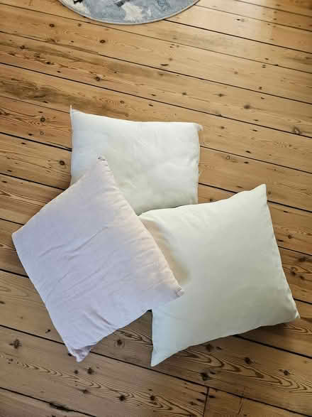 Photo of free X3 pillows (SE15) #4