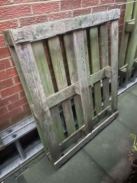 Photo of free Pallets (Newton Hall DH1) #2