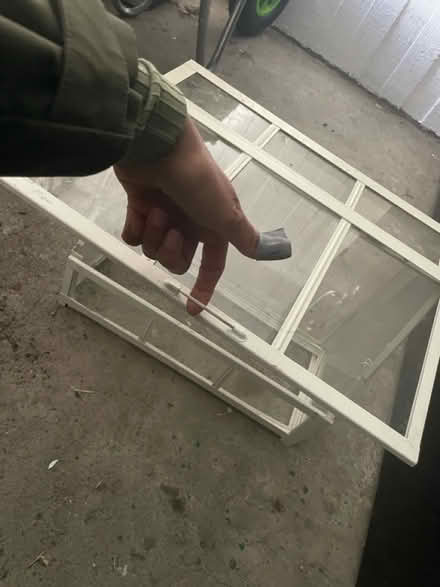 Photo of free Small glass greenhouse (Roehampton. SW15) #4