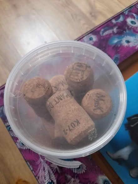 Photo of free Old Cork (Colwick NG4) #1