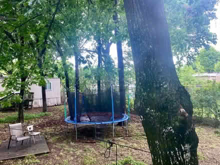 Photo of free Trampoline with safety net & ladder (Beltline Rd & Shady Grove) #3