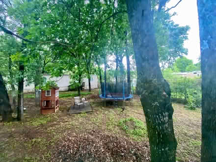 Photo of free Trampoline with safety net & ladder (Beltline Rd & Shady Grove) #4