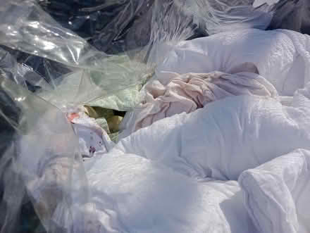 Photo of free Cot bedding (Harton, NE34) #2