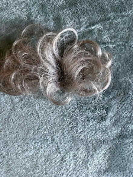 Photo of free Grey hair volume piece (Chestnut Point East Condos) #1