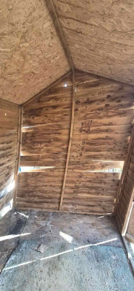 Photo of free Shed (Portslade) #3