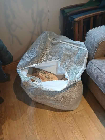 Photo of free Pair of large lined curtains (Stroud GL5) #4