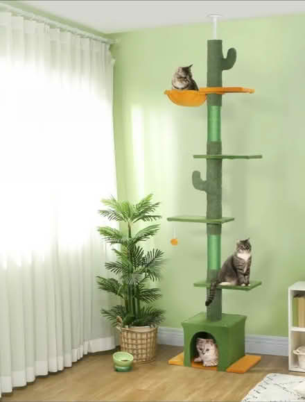 Photo of Cat tower or tree (Sheffield Centre & Nether Edge) #1