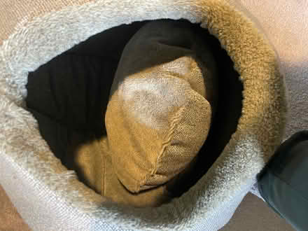 Photo of free Pets at home cat bed (BR3) #2