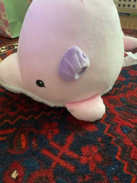 Photo of free Miniso cuddly toy (Kenilworth, Borehamwood) #1