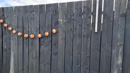 Photo of free Ikea solar fairy lihjts (Hornsey N8) #1