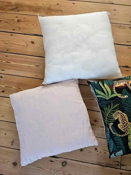Photo of free X3 pillows (SE15) #2