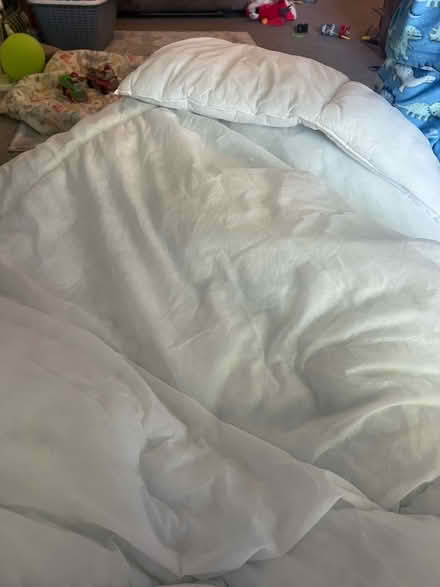 Photo of free Single duvet (Rochford SS4) #1