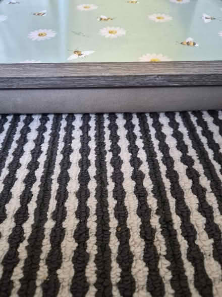 Photo of free Padded tray (LE77AD) #1