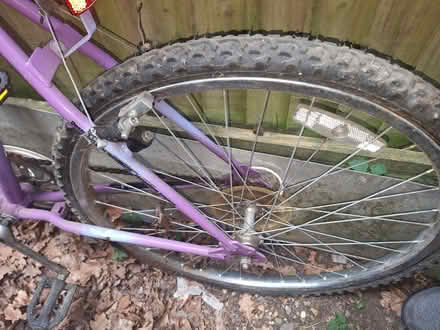 Photo of free Ladies bike (Whitehill, GU35 9HA) #3