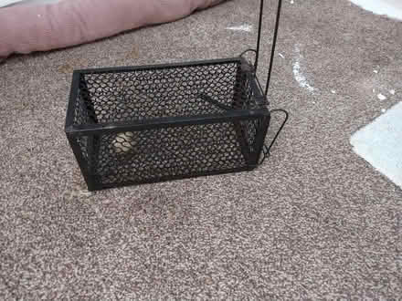 Photo of free Two rat/mouse traps (Barrow-in-Furness LA14) #1