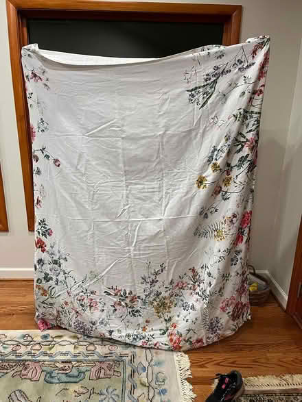 Photo of free shower curtain (Rockville) #1