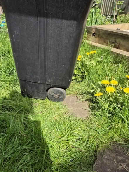 Photo of free Water butt / compost bin (LE18 South wigston Leicester) #2