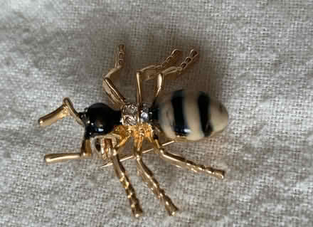 Photo of free Small gold colour wasp brooch (Slyfield GU1) #1