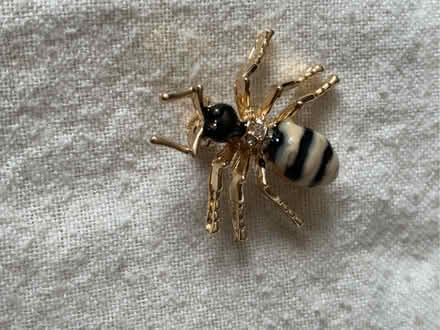 Photo of free Small gold colour wasp brooch (Slyfield GU1) #3
