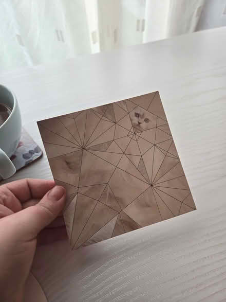 Photo of free Paper cats (Dublin 16) #3