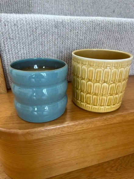 Photo of free House plant pots (Winkfield SL4) #1