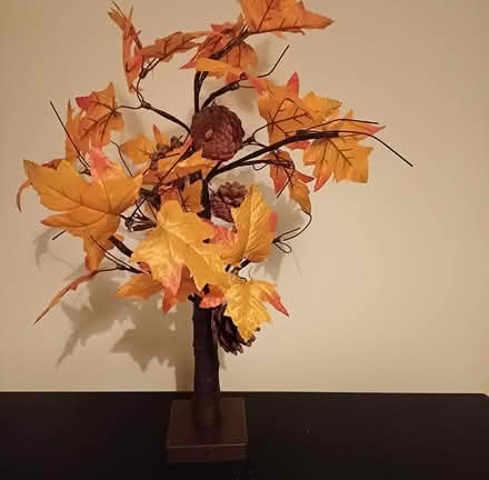 Photo of free Maple leaf table light (Drighlington, Bradford BD11) #1