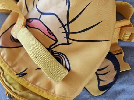 Photo of free Toddler backpack/ reins (Littlemore OX4) #2