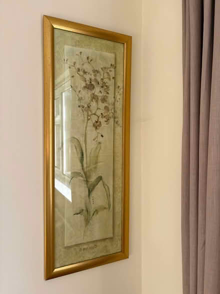 Photo of free Gold framed prints (CM1 Broomfield) #1