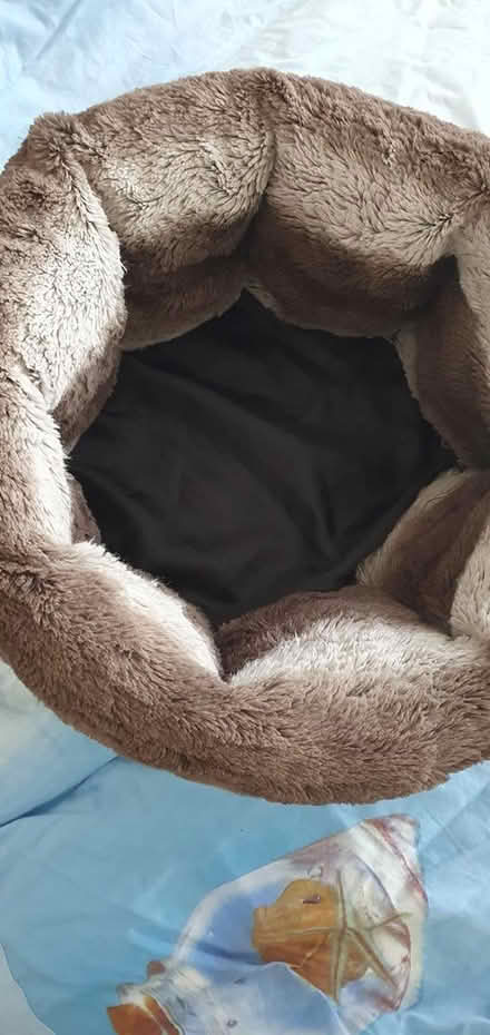 Photo of free small cat bed (Hengistbury Head BH6) #2
