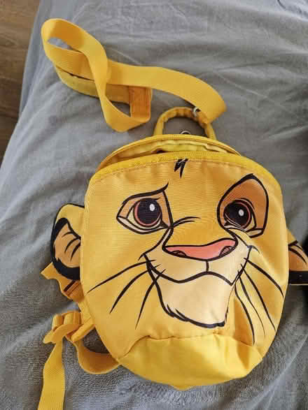 Photo of free Toddler backpack/ reins (Littlemore OX4) #1