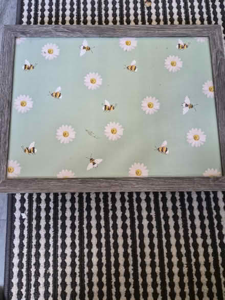 Photo of free Padded tray (LE77AD) #2