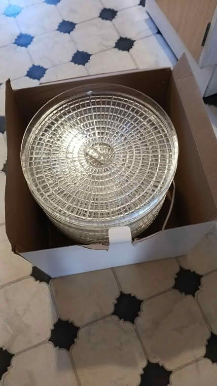 Photo of free Dehydrator (Clapham North London SW4) #3