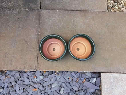 Photo of free Plant pots (Dudley) #2
