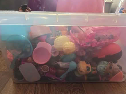 Photo of free LOL dolls (TN23) #2