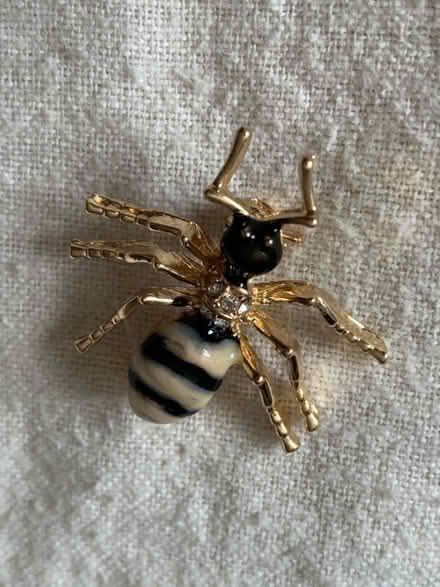 Photo of free Small gold colour wasp brooch (Slyfield GU1) #2