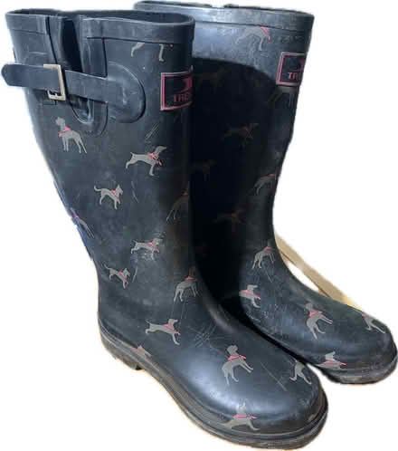 Photo of free Trespass wellies (Liberton EH16) #1