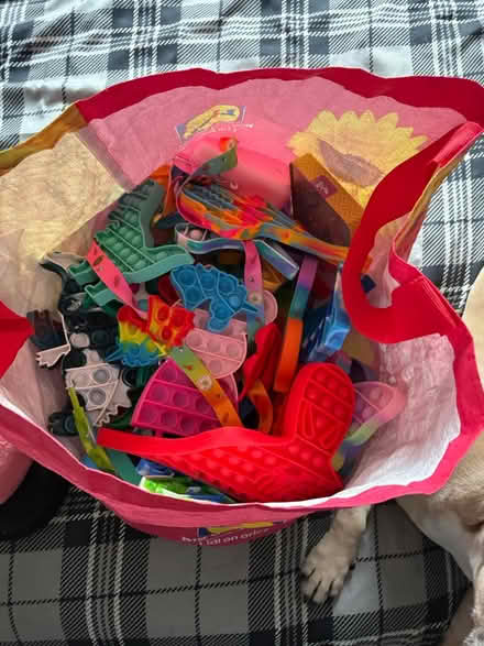 Photo of free Bag of poppets (Calcot RG31) #1