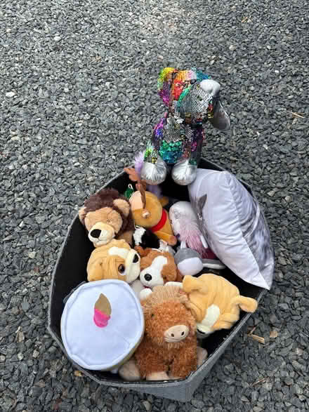 Photo of free Soft toys (Stubbington PO14) #1