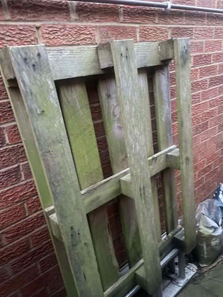 Photo of free Pallets (Newton Hall DH1) #3