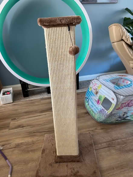 Photo of free Large cat scratching post (Rise Park NG5) #1