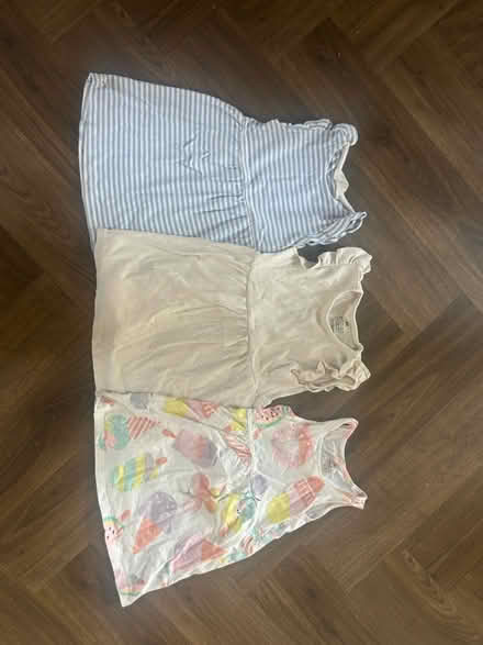 Photo of free Girls summer clothes age 3 (Edmonton N9) #2