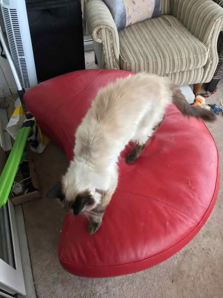 Photo of free Red Leather Pouffe (St Michaels TQ3) #2